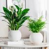 Self Watering Pot for Indoor Plants Plastic Wicking Flower Pot with Inner Pot Modern Decorative Planter for Herbs Flowers House Plants