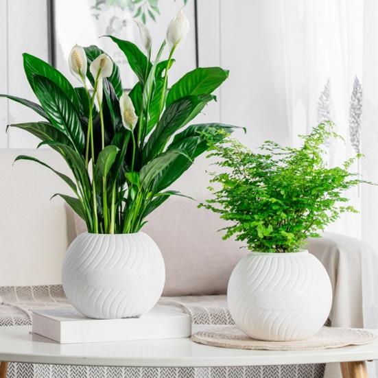 Self Watering Pot for Indoor Plants Plastic Wicking Flower Pot with Inner Pot Modern Decorative Planter for Herbs Flowers House Plants