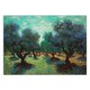 Wallpaper Olive grove - V. van Gogh
