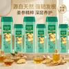 Hazeline Ginger Ginseng Root Strengthening Shampoo