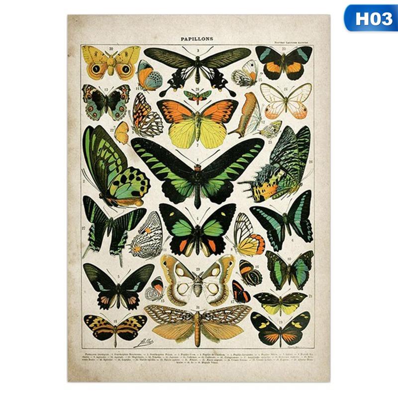 Vintage Adolphe Millot Enzyklopädie Poster Schmetterling Pilze Kräuter Blumen Insekt Klassische Leinwandgemälde Wandaufkleber