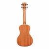 KALA Gloss Mahogany Series Concert Ukulele with Mahogany Body (KACG-WBAG20_06) - Successor to the KA-CG (Case Included)
