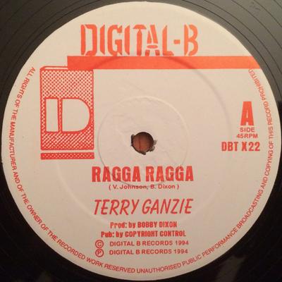 12-Zoll Schallplatte TERRY GANZIE - Ragga Ragga / Team Up DBTX22 Digital-B 1994 Reggae, Ska & Dub Gebraucht