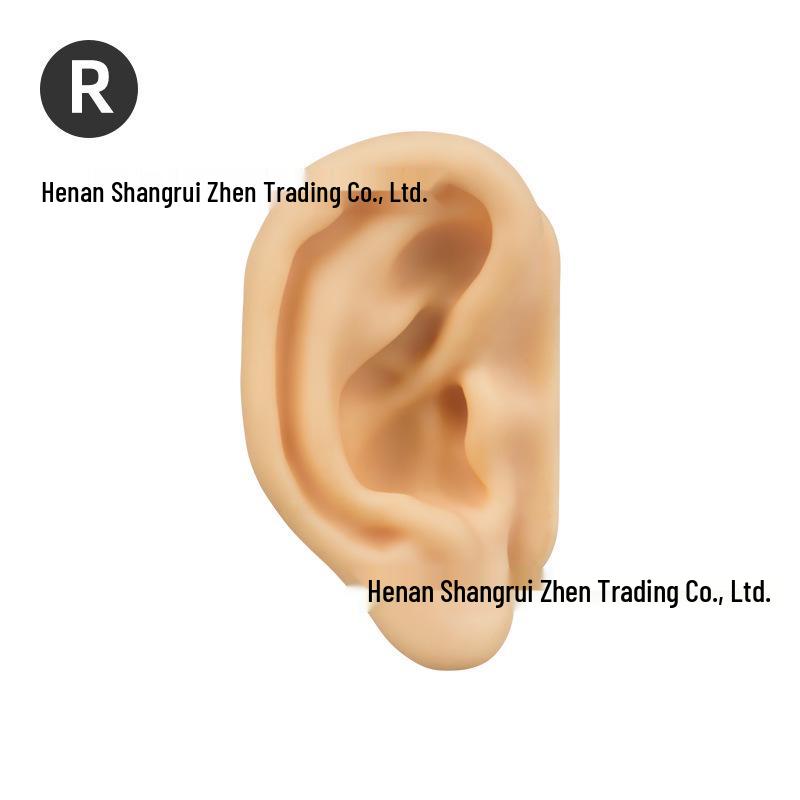 5D Ear Picking Silicone Model: Earphone Display, Acupoint, Jewelry & Hearing Aid Prop