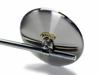 JCMA Mirror Hairline Brass MOTOR ROCK 100 1. (Brass Tag/Brass Rivet) (MR-HC058H)