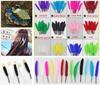 Natural Goose Feather 10-15cm Colorful Feather for Crafts DIY Jewelry Headress Carnival Dream Catcher Plumes Decor