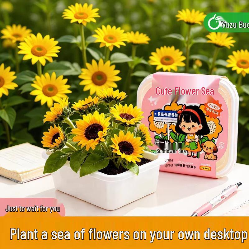 Creative DIY Flower Seeds Kit: Planting Pot for Students' Birthdays and Desktop Decor