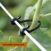 Grape Vine Branch Clip Hook