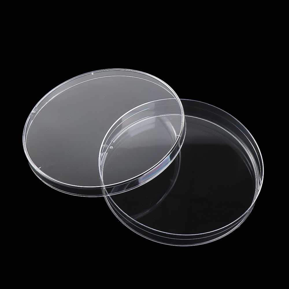 55x15mm 90x15mm Piastra di Petri Trasparente Piastre di Petri Sterili Piastre di Petri Piastra per Coltura Batterica