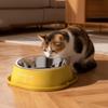Noiseless Pet Water Fountain Anti-dry Burning Stainless Steel  Cat Bowl  Warm Stomach