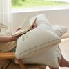 Dupont Two-way Antibacterial Pillow Core Cervical Vertebra Pillow To Aid Sleep Super Soft Pillow Core Home Pair