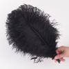 Colored Ostrich Feathers 30-35Cm Stage Performance Wedding Bouquet Decoration Ostrich Feathers