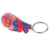 2 Stück Menschliches Herz Schlüsselanhänger Mini Modell Skelett Bewegliches Gelenk PVC Material Geeignet für