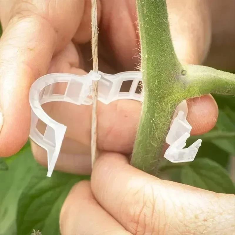 Reusable Plastic Plant Support Clips Garden Vine Strapping Fixing Clip for Climbing Tomato Grape Vegetables Stalk Holders Buckle
