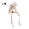 Spooky Festive Decoration Items Halloween Skeleton Statue, See Speak Hear No Evil Figurines, Holiday Party Decor Collectible Skull for Indoor