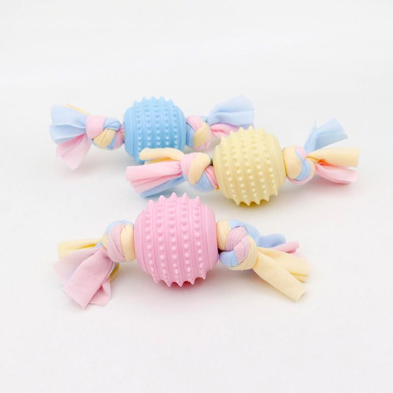 Cross-Border Pet Chew Toys for Dogs: Teddy Dog Chewing Stick