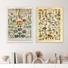 Vintage Mushroom Poster Champignon Print Antique Fungal Illustration Prints Botanical Home Decor Vintage Vegetable Kitchen Art