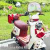 Luna Sunny Day Cute Two-Tone Electric Vehicle Bow & Sticker Accessories