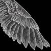 Black 3D Red For Women Wings Wedding Cloth Badge Apparel Sewing Fabric Lace Embroidery Sewing Patches