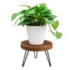 Wooden Flower Pot Stand Holder Support Unique Finish Easy Relocate For Garden Balcony Living Indoor Outdoor Decoration