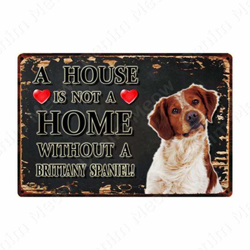 A House Is Not A Home Without A Dog Plaque, Vintage Metal Tin Signs, Bar, Cafe, Home Decor, Springer Spaniel, Wall Art Poster