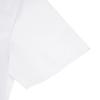 Li Ning Short Sleeved T Shirts Men's AHSV707-2