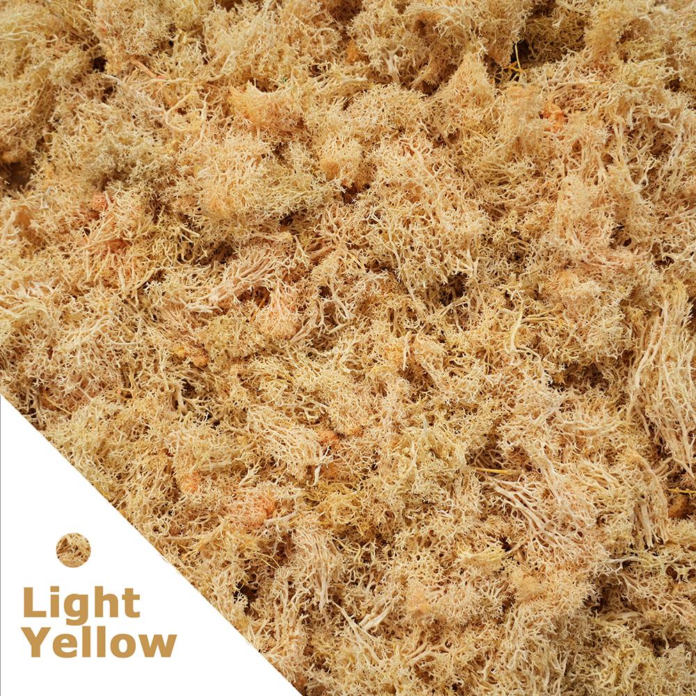 500g/1000g Mini Landscape Moss Grass Eternal Life Fake Grass Artificial Green Plants Home Garden Decoration DIY Crafts