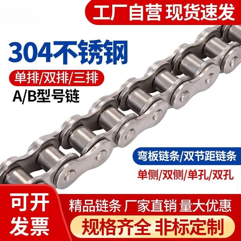 Guanshi 304 Stainless Steel Roller Chain