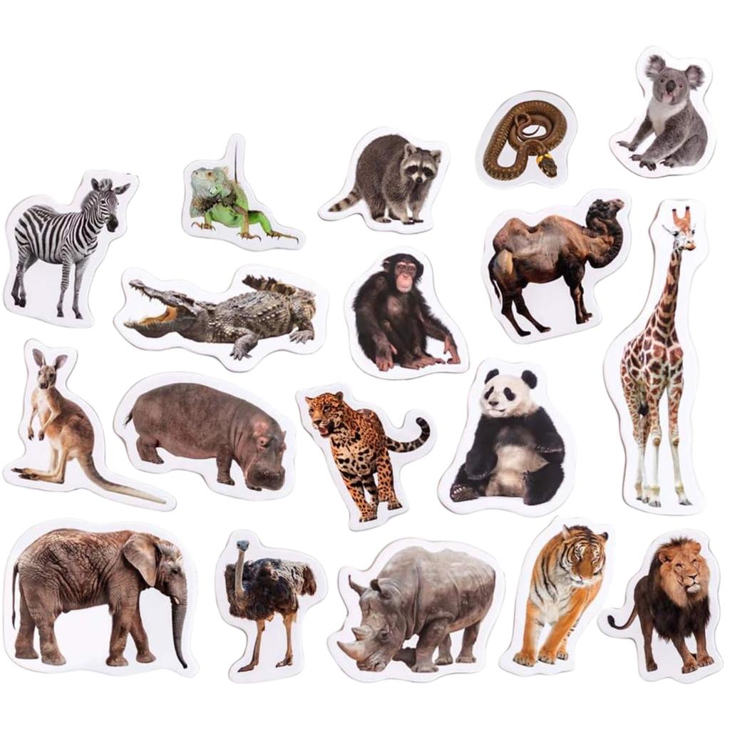 Zestaw Magnesów Zoo Dzikie Zwierzęta Realistyczny Design Solidne Wykonanie Mv6032-02