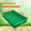 Large Commercial Seedling Tray for Bean Sprouts and Vegetables