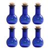 6Pcs Mini Glass Bottles with Cork Bottle Wishing Bottle Little