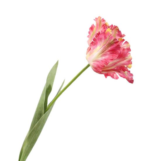 Simulovaný tulipánový květ Umělý tulipán s dlouhým stonkem Opakovaně použitelný Nenáročný Umělý tulipán pro květinové aranžmá Domácí Kancelář Svatba Dekorace