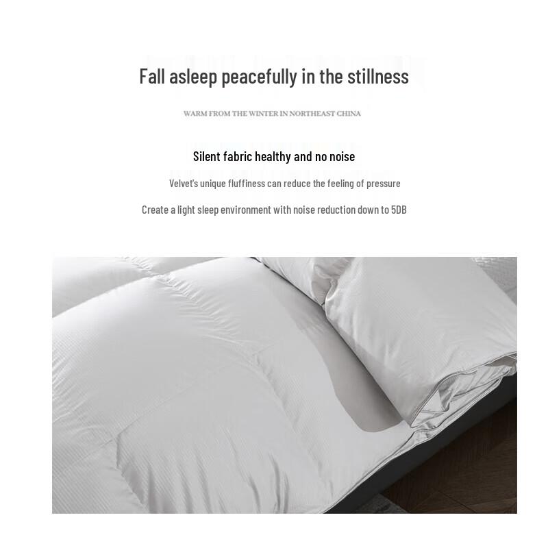 TTC Silent Antibacterial White Goose Down Winter Quilt