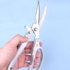 Stainless Steel Multi-Functional Chicken Bone Shears for Kitchen Use