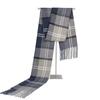 Fashion Design Plaid Men's Scarf Autumn Winter Korean Version Imitation Cashmere Muffler Male Soft Light Tassel Thick Warm Shawl