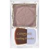 Canmake Shading Powder 04 Ice Gray Brown 5g 04 Ice Gray Brown