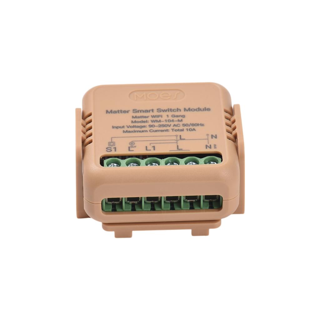 Matter Smart Switch TY WiFi Relay Module 10A Universal DIY Wireless Light Switch APP and Voice Control with Timer