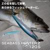 Daiwa Seabass Hunter Z 120S 3D Konoshiro