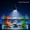 Pești și animale marine – Iluminare acvariu