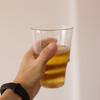 Shangi Japanese Style Heat-Resistant Glass Tumblers