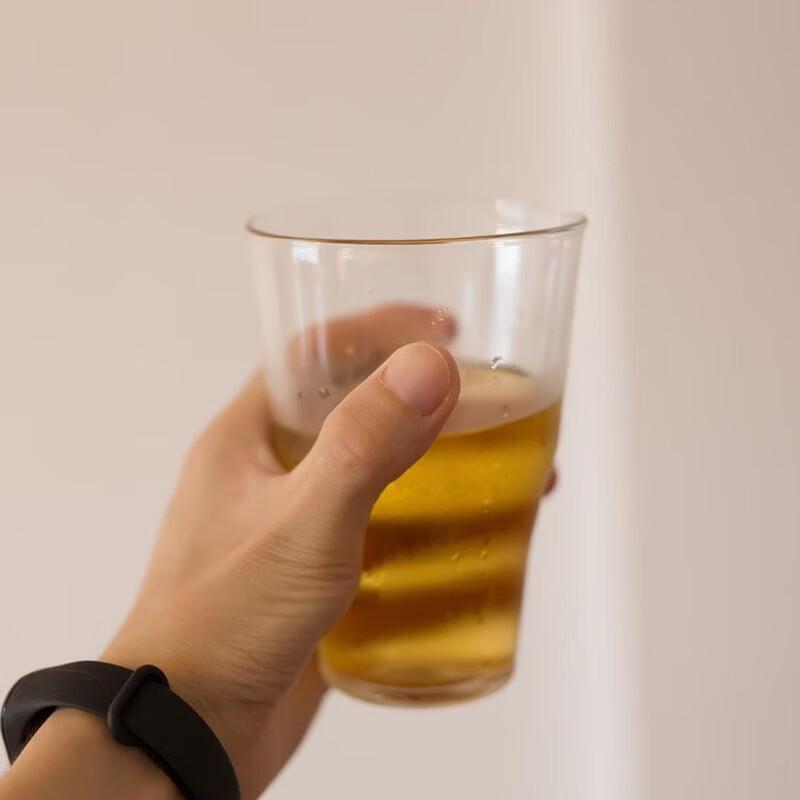 Shangi Japanese Style Heat-Resistant Glass Tumblers