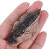 Adorable Crocodile Tea Pet Figurine - Mini Handcrafted Decor for Tea Ceremony, Home Desktop & Shelf Decoration
