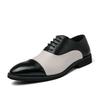 Men's Plus Size Casual Fashion Color Block Pointed Toe Leather Shoes