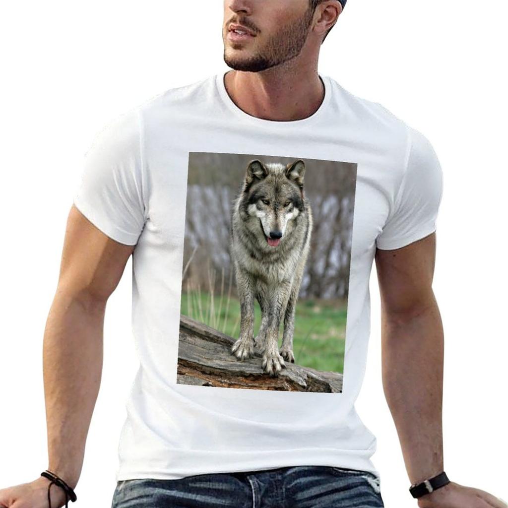 Wolf Standing On a Log T-Shirt Man T Shirt Luxury T Shirts for Man Graphic Vintage T Shirt Man