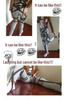Attack On Titan Mikasa, Eren, Levi Survey Corps Full Body Leather Strap Cosplay Gear Available