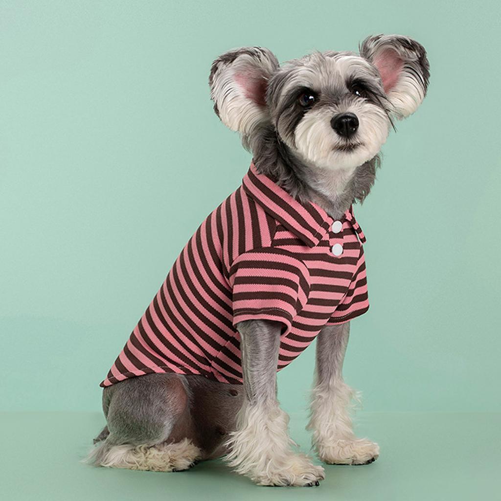 Stylish Color Block Dog Sweater Warm And Fashionable Winter Dog Clothes For Small Medium Dogs Winter Warm Doggie Sweater