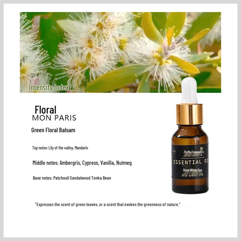 15ml Aromatherapy Essential Oil Diffuser - Portable, Flameless Air Freshener for Home and Hotel.