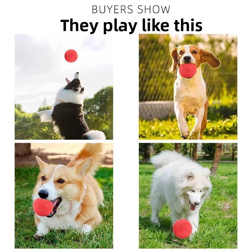 Solid Rubber Balls for Dog Toys, Such As Durable Teething Balls for Puppies, Golden Retrievers, and Teddy Dogs, for Self-entertainment and Boredom