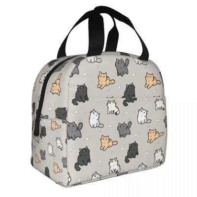 Kittens And Fish Insulated Lunch Bag Cooler Cute Cat Large Lunch Box Tote Girl Boy Work Picnic