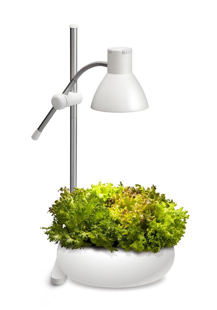 GENTOS Lampa Stołowa Światło do Uprawy Roślin 800 Lumenów IK-S72GWH